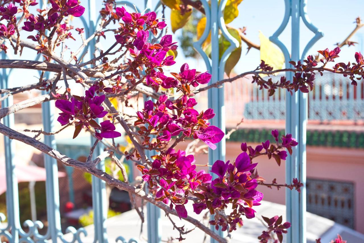 Riad Atlas Acacia Μαρακές Εξωτερικό φωτογραφία